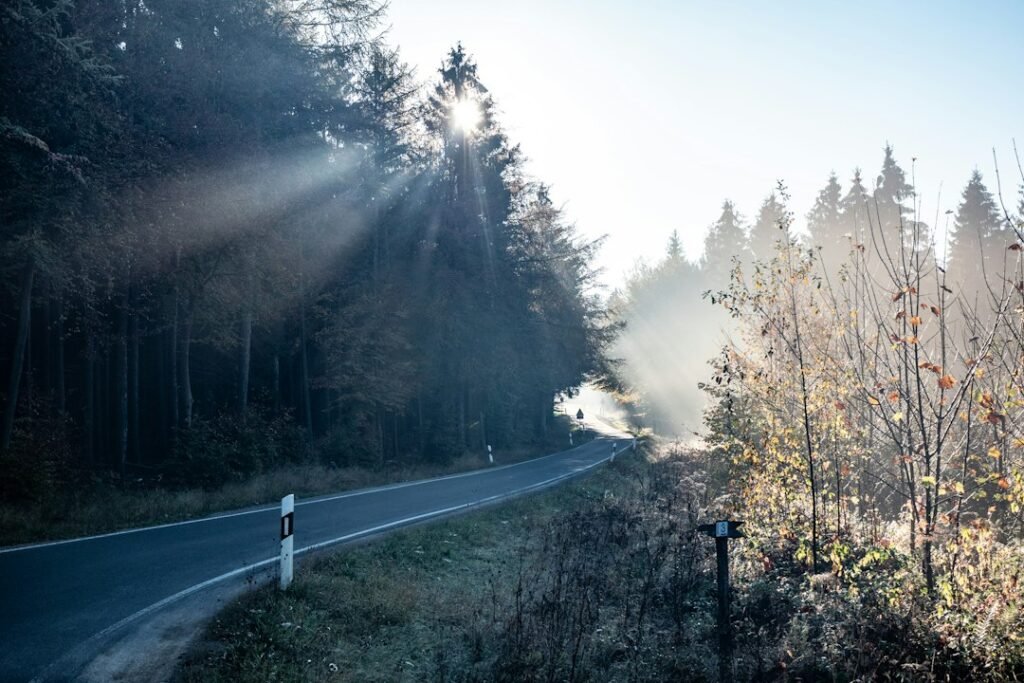 B317 é interditada em Utzenfeld e trânsito passa por dentro da cidade
