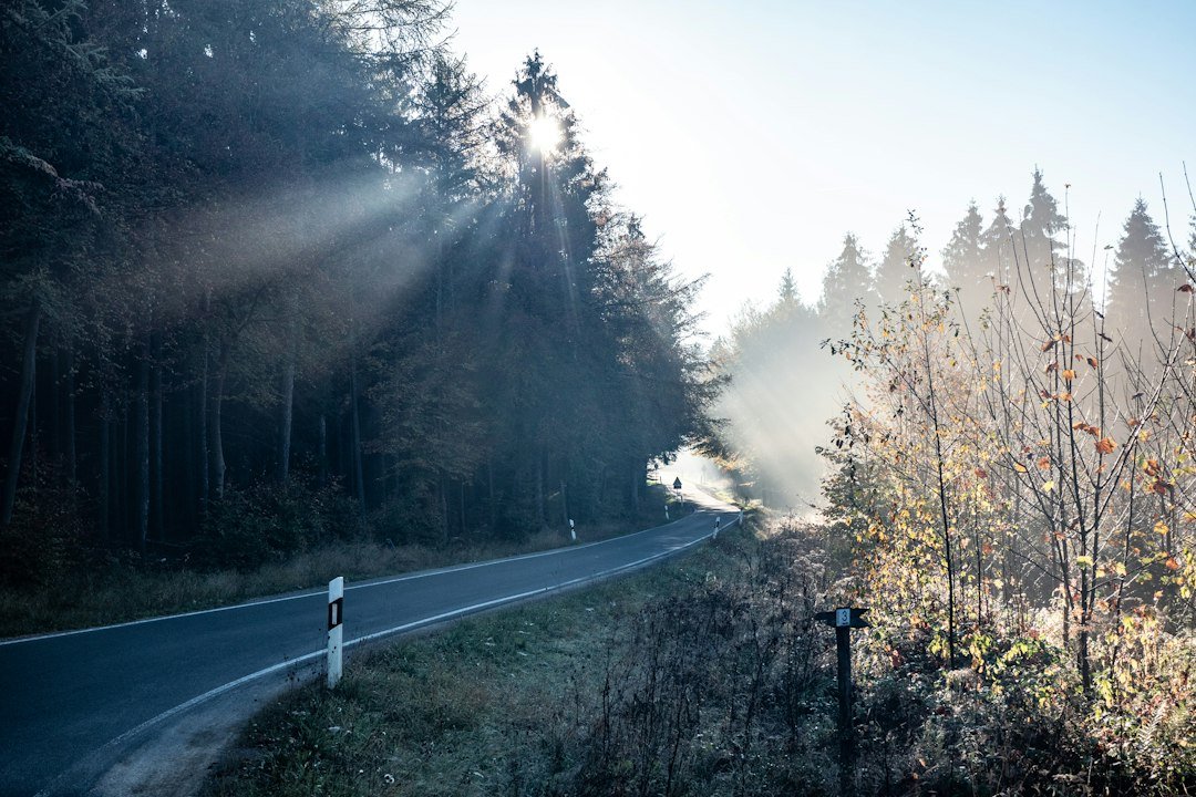 B317 é interditada em Utzenfeld e trânsito passa por dentro da cidade